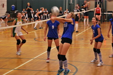Enlarge photo 60