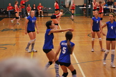 Enlarge photo 159