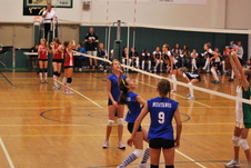 Enlarge photo 161