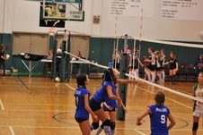 Enlarge photo 215