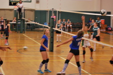 Enlarge photo 230