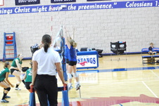 Enlarge photo 14