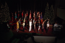 Enlarge photo 529