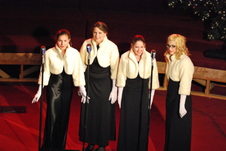 Enlarge photo 223