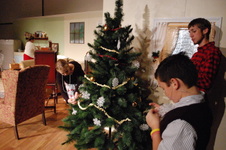Enlarge photo 24