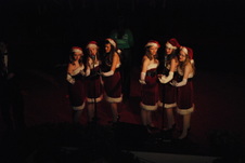 Enlarge photo 46
