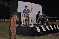Enlarge photo 31