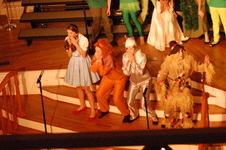 Enlarge photo 209