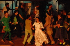 Enlarge photo 244