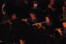 Enlarge photo 172