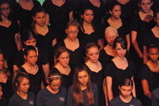 Enlarge photo 263