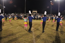 Enlarge photo 259