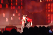 Enlarge photo 317