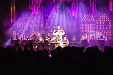 Enlarge photo 563