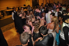 Enlarge photo 313