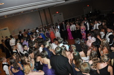 Enlarge photo 315