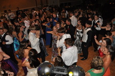 Enlarge photo 372