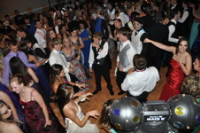 Enlarge photo 390