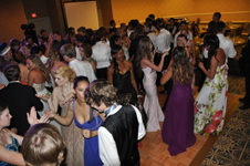 Enlarge photo 478