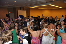 Enlarge photo 491