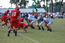 Enlarge photo 30