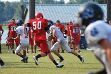 Enlarge photo 51