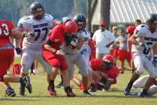 Enlarge photo 54