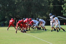 Enlarge photo 74
