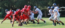 Enlarge photo 71