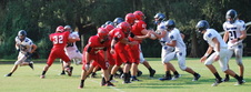 Enlarge photo 72