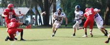 Enlarge photo 73