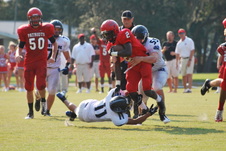 Enlarge photo 119