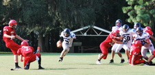 Enlarge photo 136