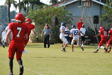 Enlarge photo 153
