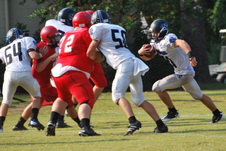 Enlarge photo 154