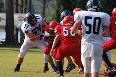 Enlarge photo 171