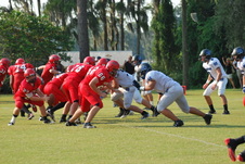 Enlarge photo 178