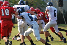 Enlarge photo 199