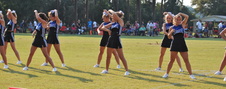 Enlarge photo 216