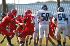 Enlarge photo 329