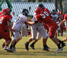 Enlarge photo 330