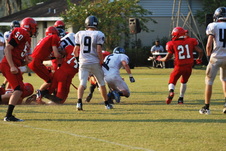 Enlarge photo 333