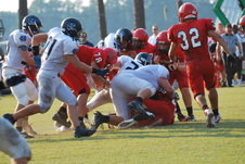Enlarge photo 342