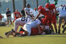 Enlarge photo 346