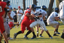 Enlarge photo 343