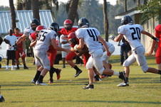 Enlarge photo 373