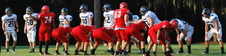 Enlarge photo 392