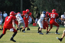 Enlarge photo 430
