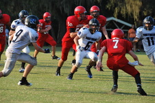 Enlarge photo 434