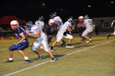 Enlarge photo 103
